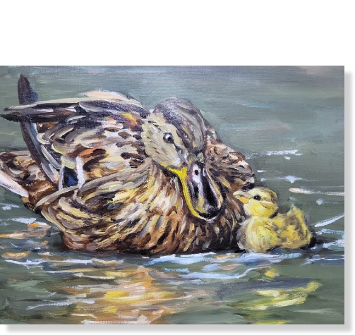 Ducks2