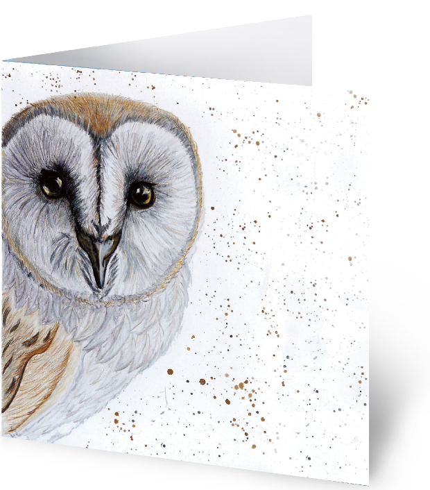Wiseowl